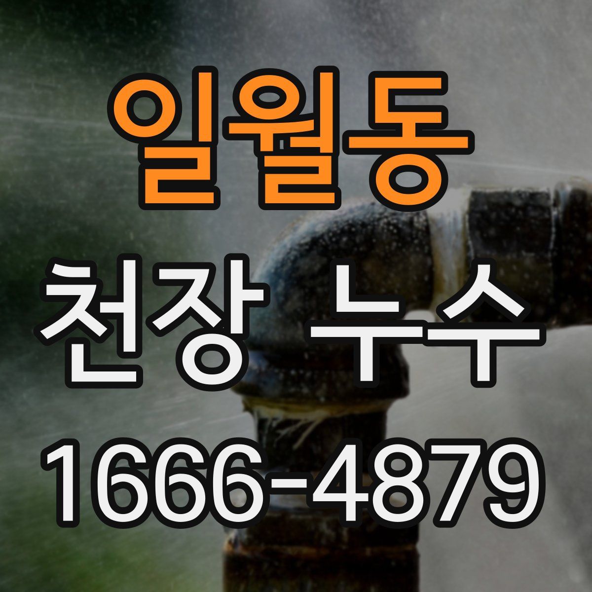 일월동 천장 누수