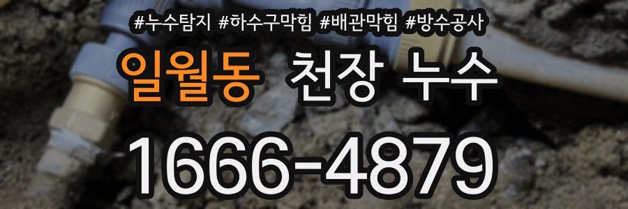 일월동 천장 누수