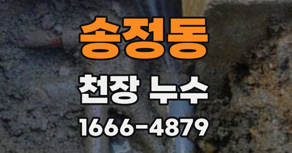 송정동 천장 누수