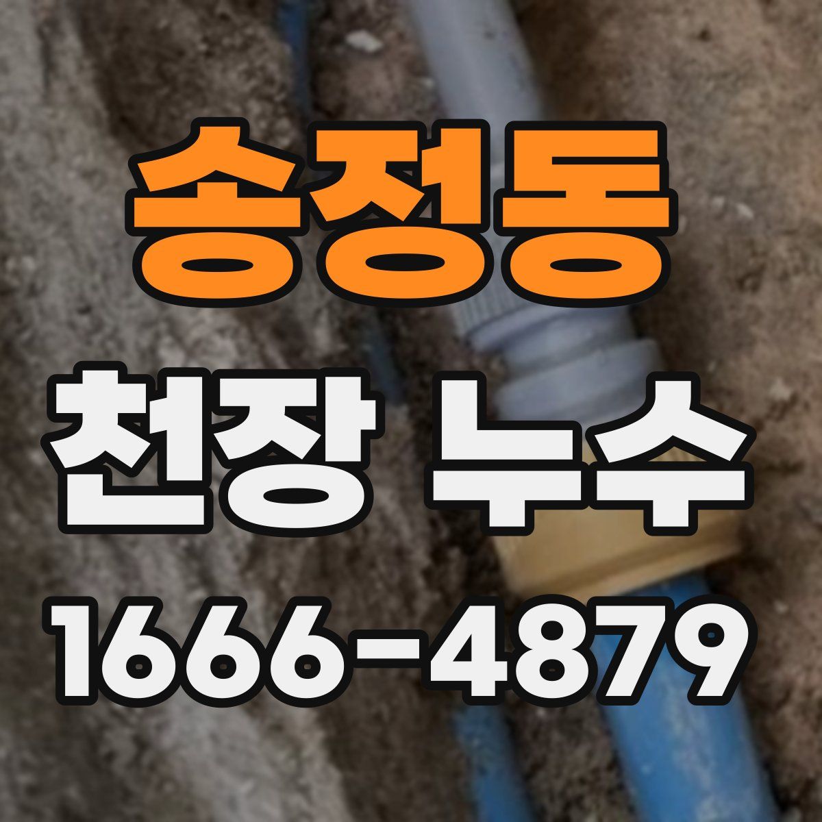 송정동 천장 누수