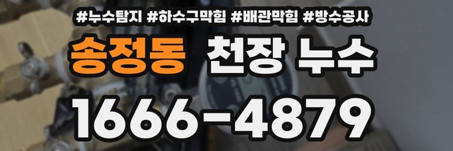 송정동 천장 누수