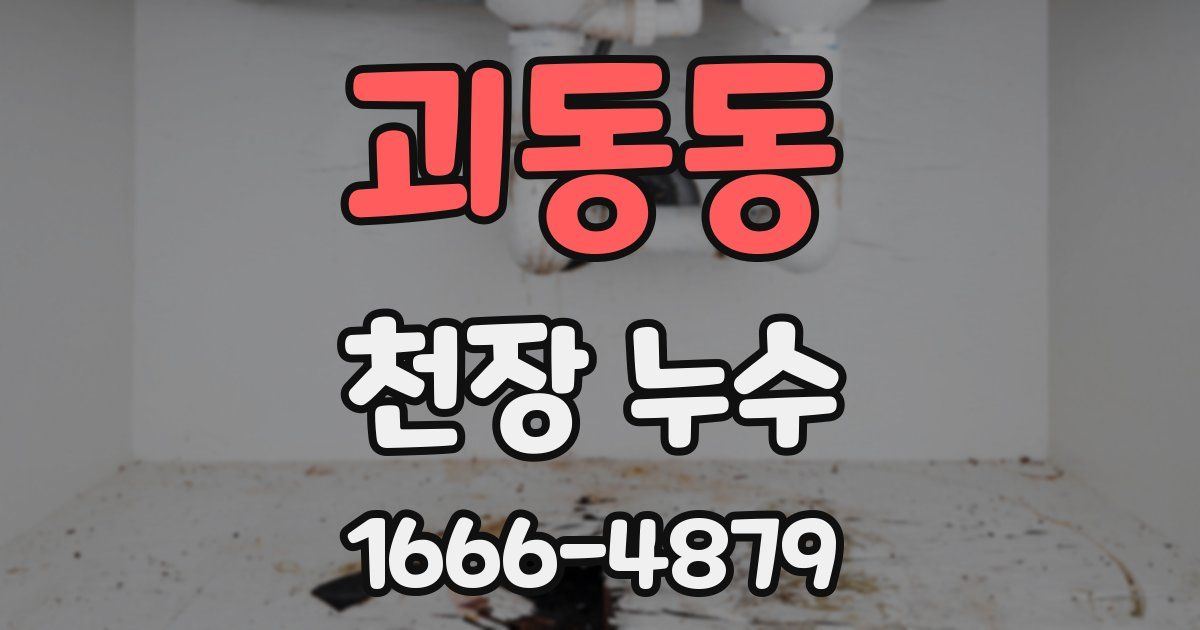 괴동동 천장 누수