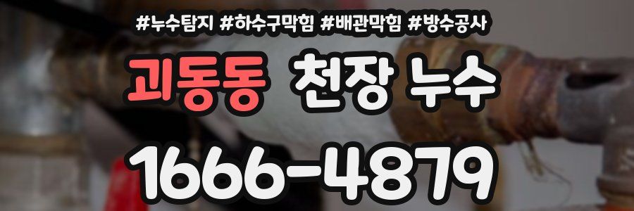 괴동동 천장 누수