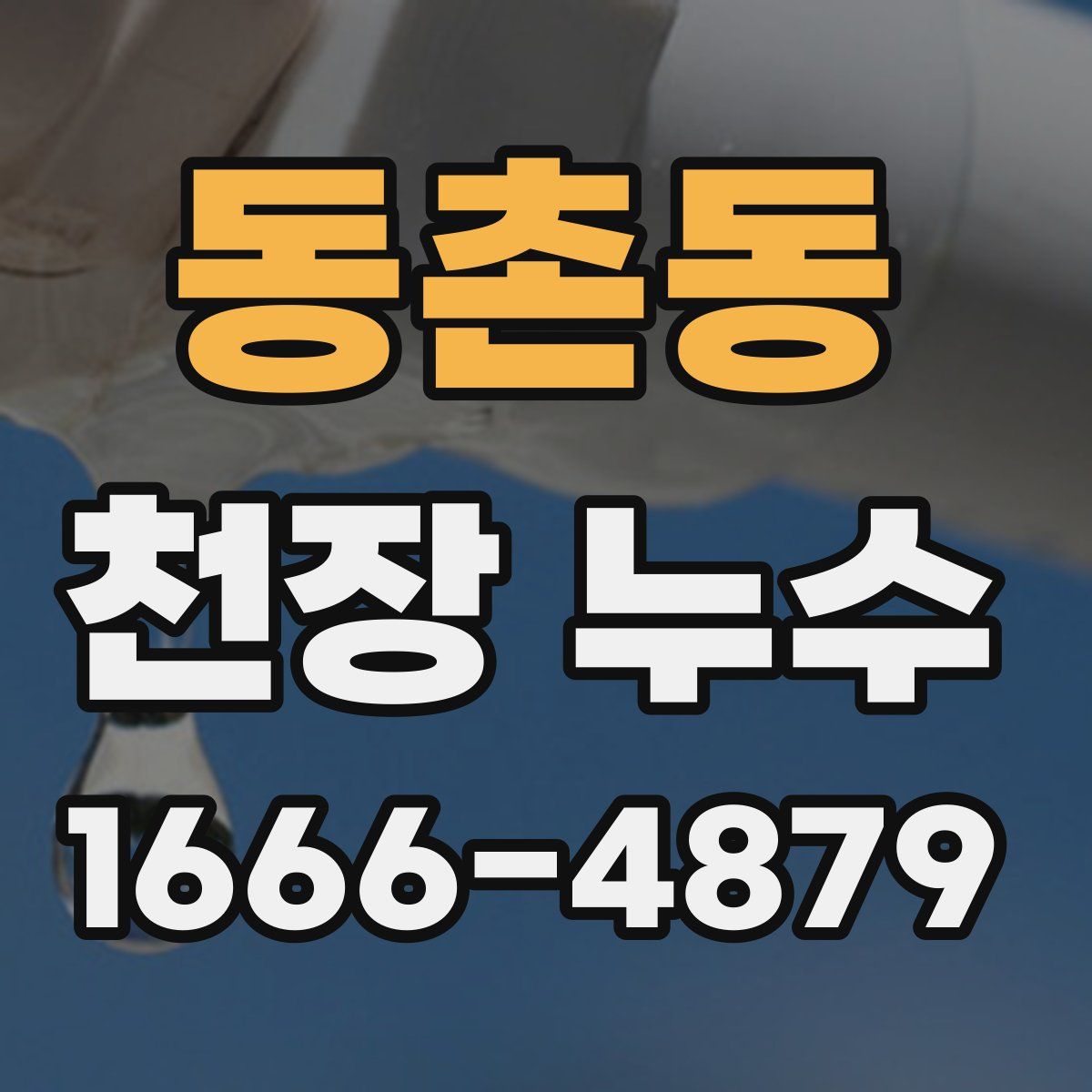 동촌동 천장 누수