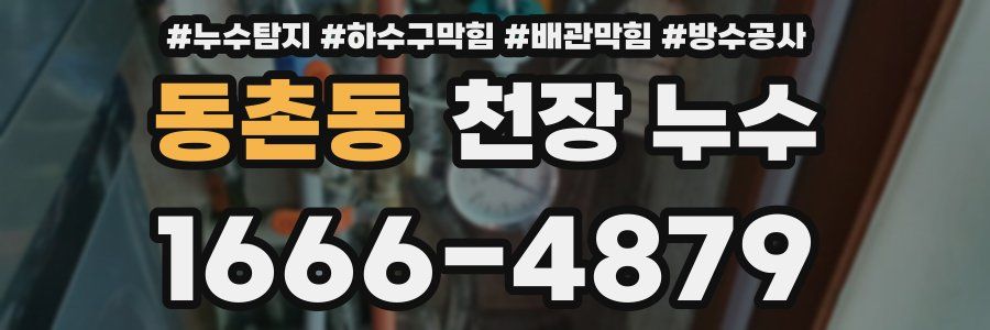 동촌동 천장 누수