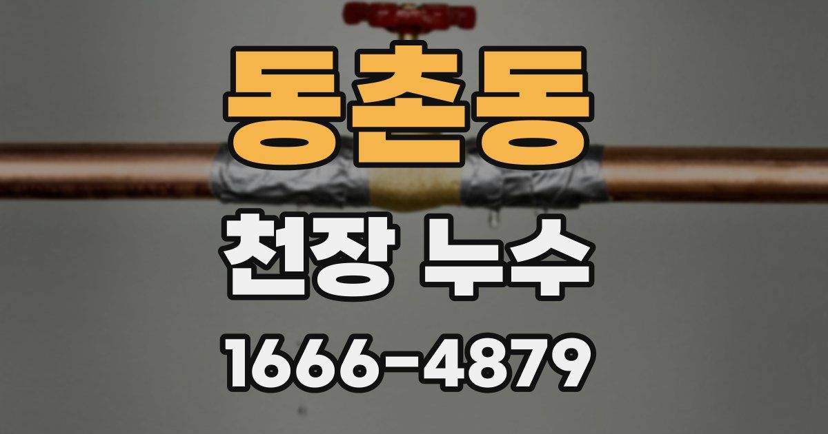 동촌동 천장 누수