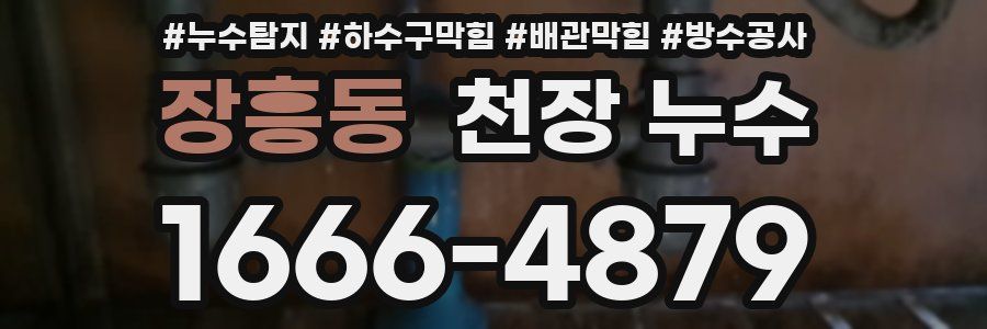 장흥동 천장 누수