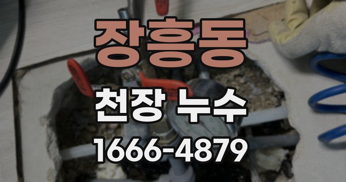 장흥동 천장 누수