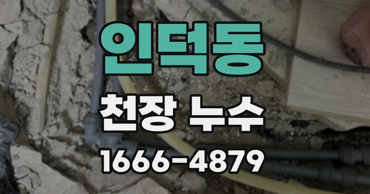 인덕동 천장 누수