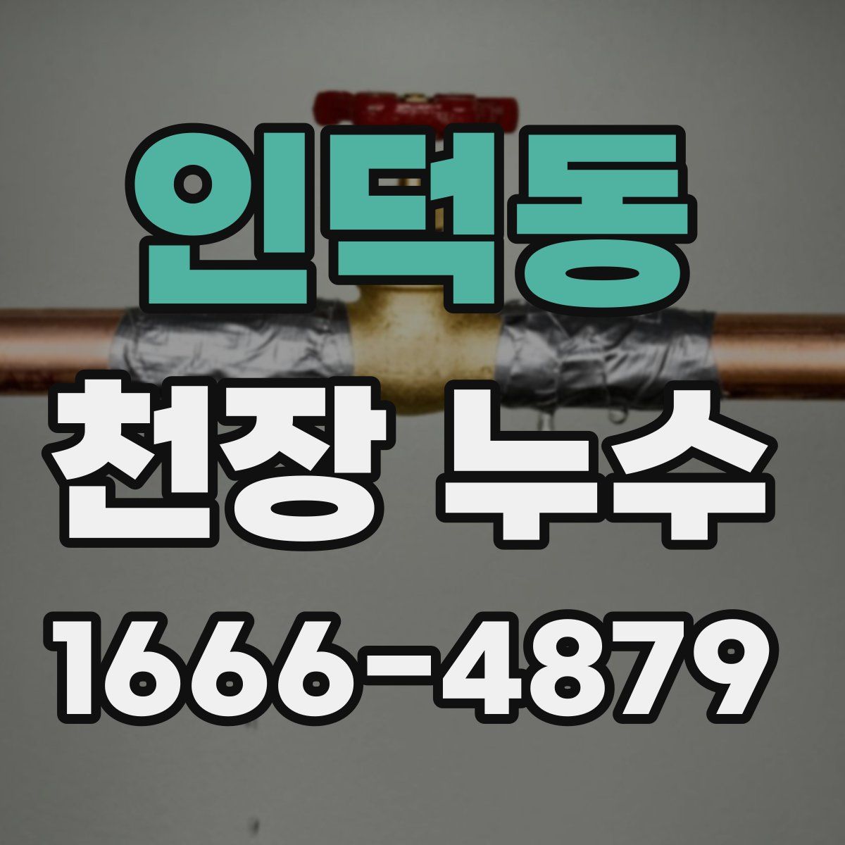인덕동 천장 누수