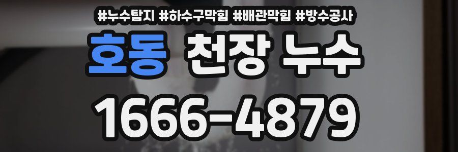 호동 천장 누수