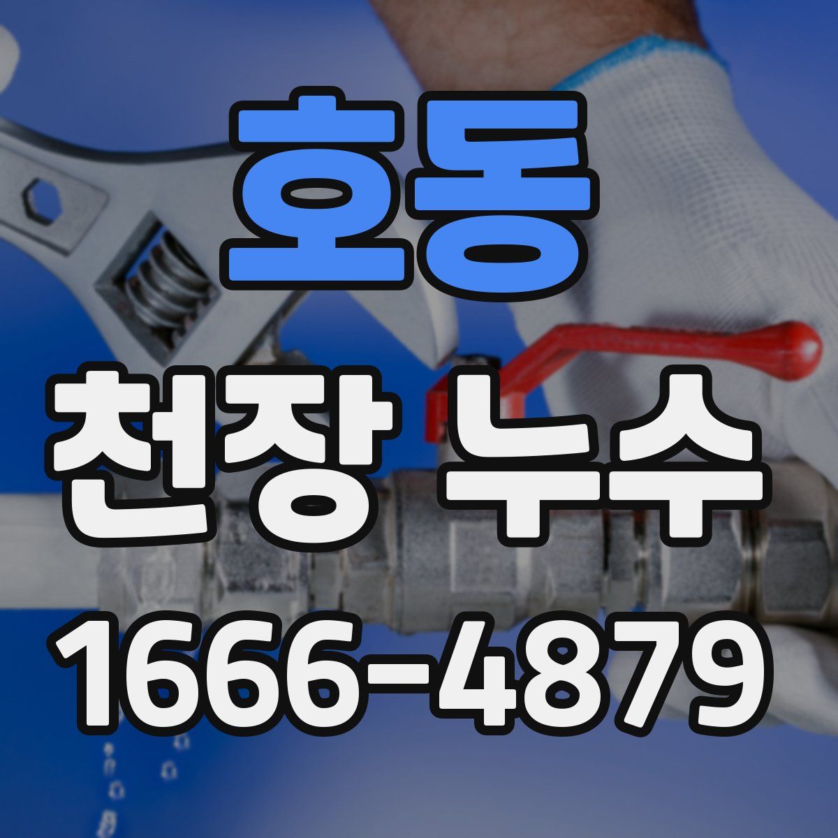 호동 천장 누수