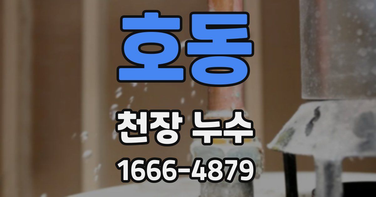 호동 천장 누수