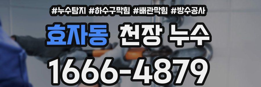 효자동 천장 누수