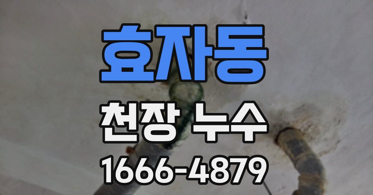 효자동 천장 누수