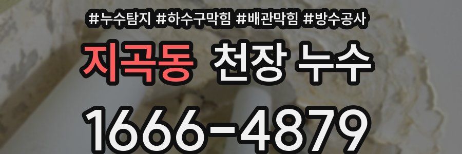 지곡동 천장 누수