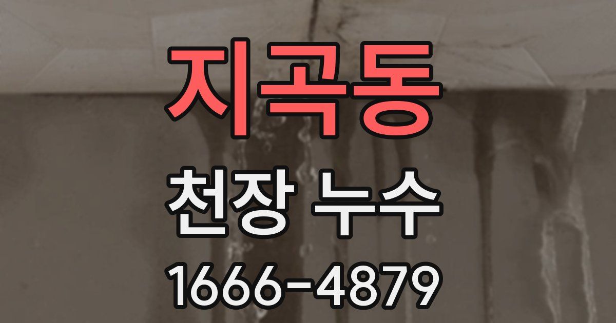 지곡동 천장 누수