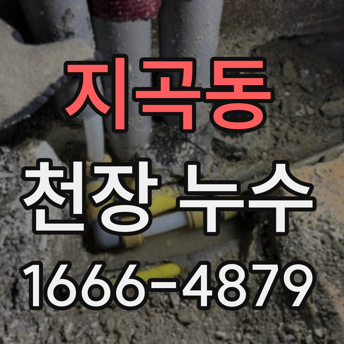 지곡동 천장 누수