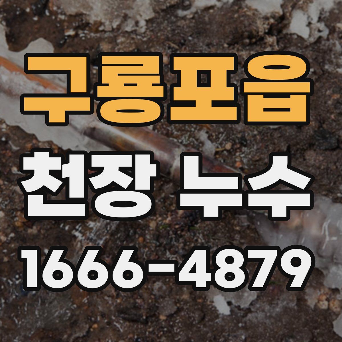 구룡포읍 천장 누수