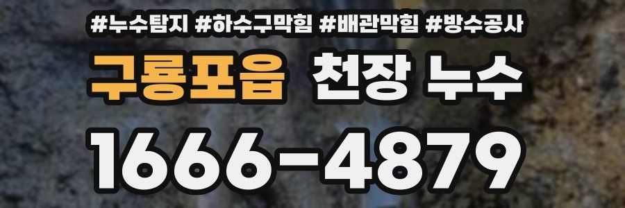 구룡포읍 천장 누수