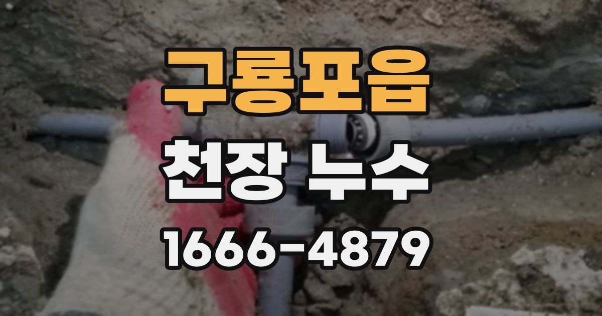 구룡포읍 천장 누수