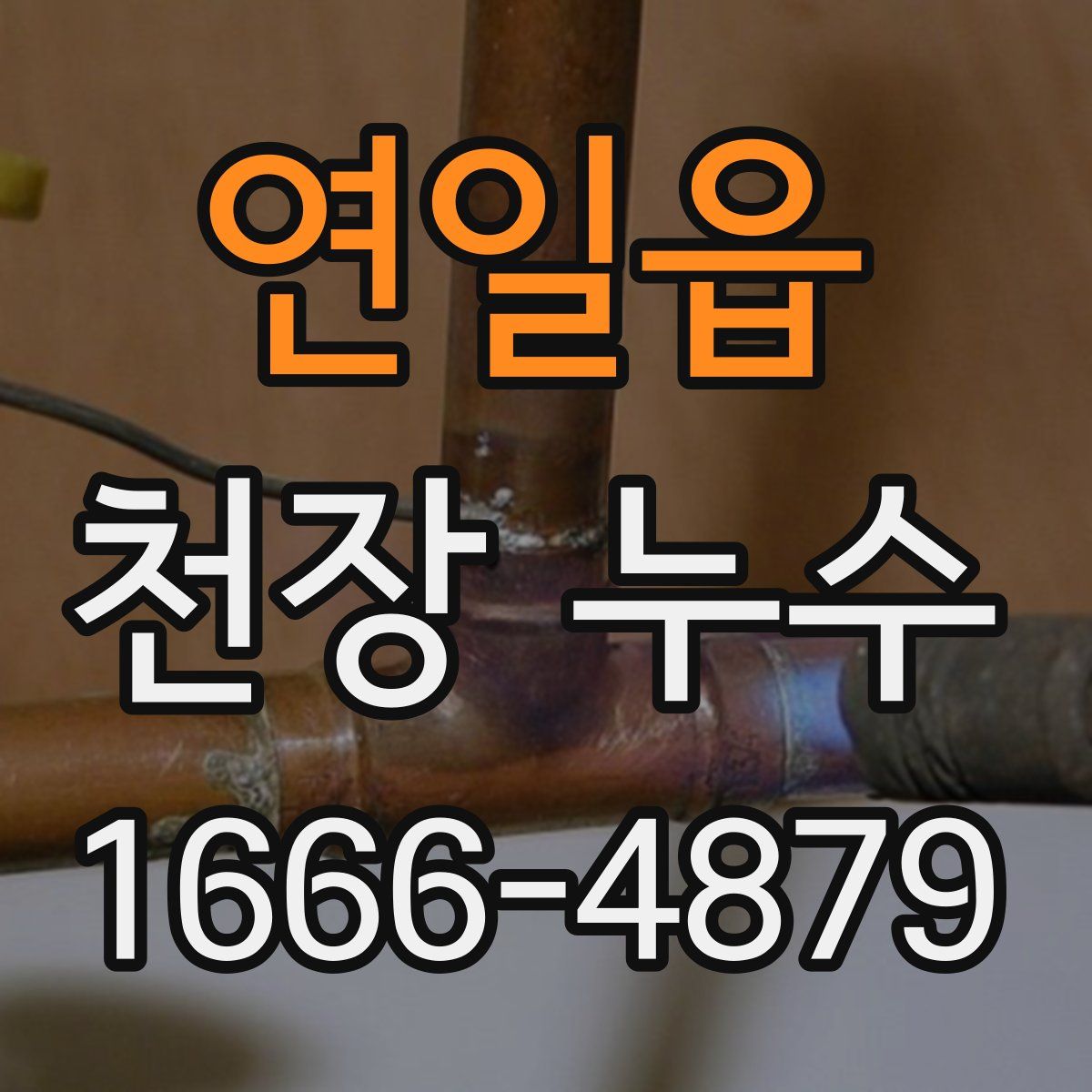 연일읍 천장 누수