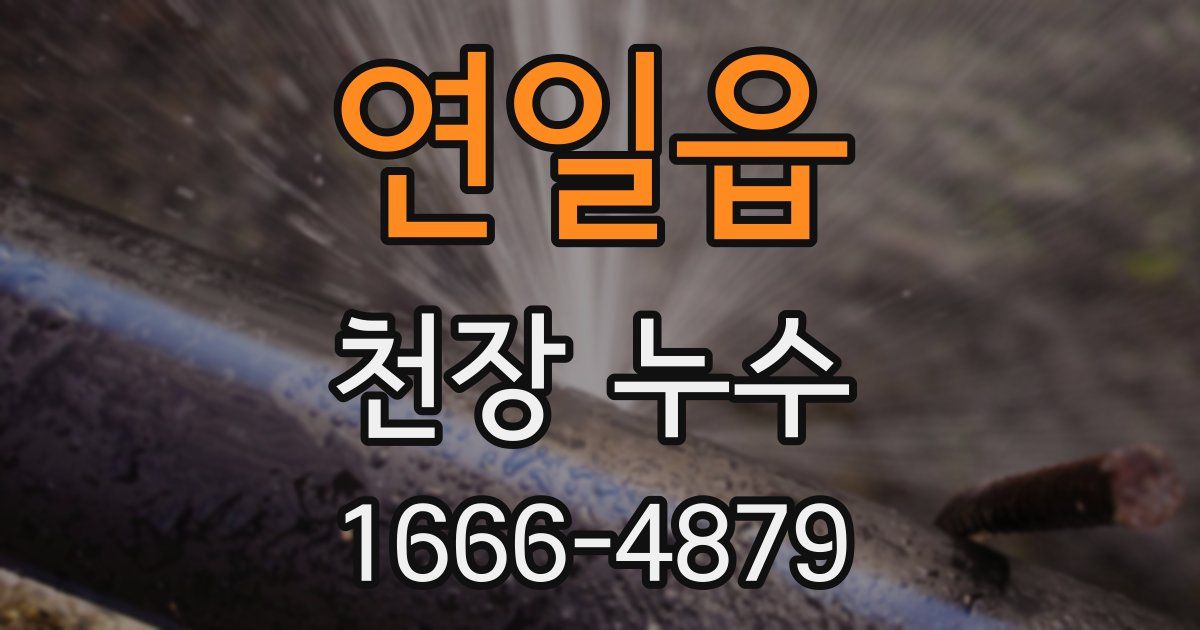 연일읍 천장 누수