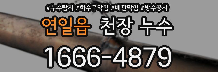 연일읍 천장 누수