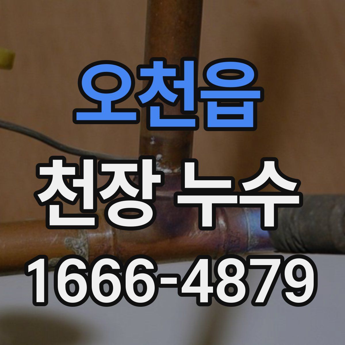 오천읍 천장 누수