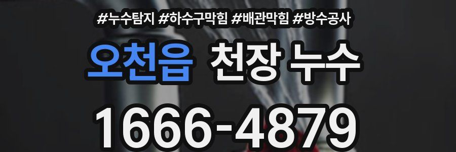 오천읍 천장 누수