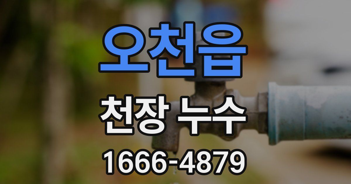 오천읍 천장 누수