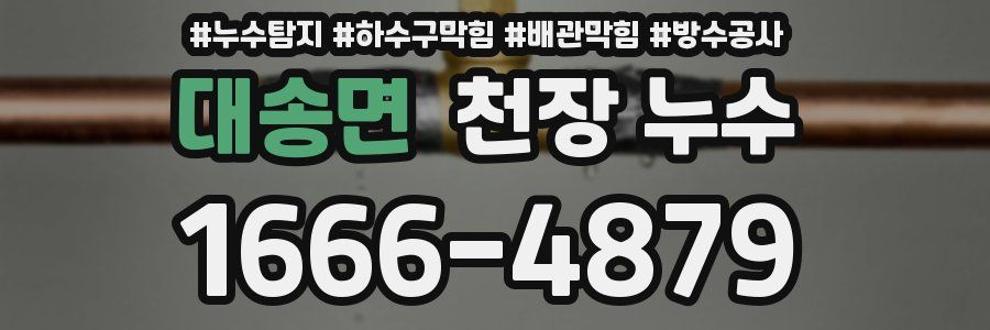대송면 천장 누수