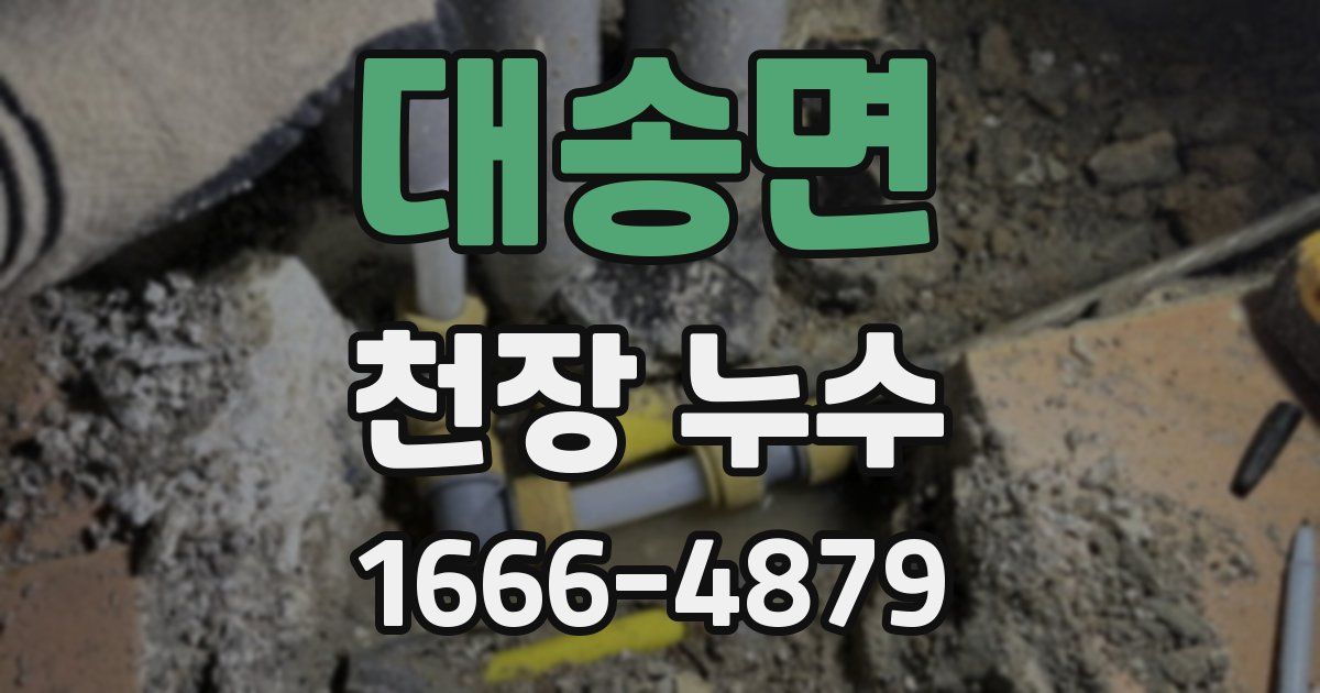 대송면 천장 누수