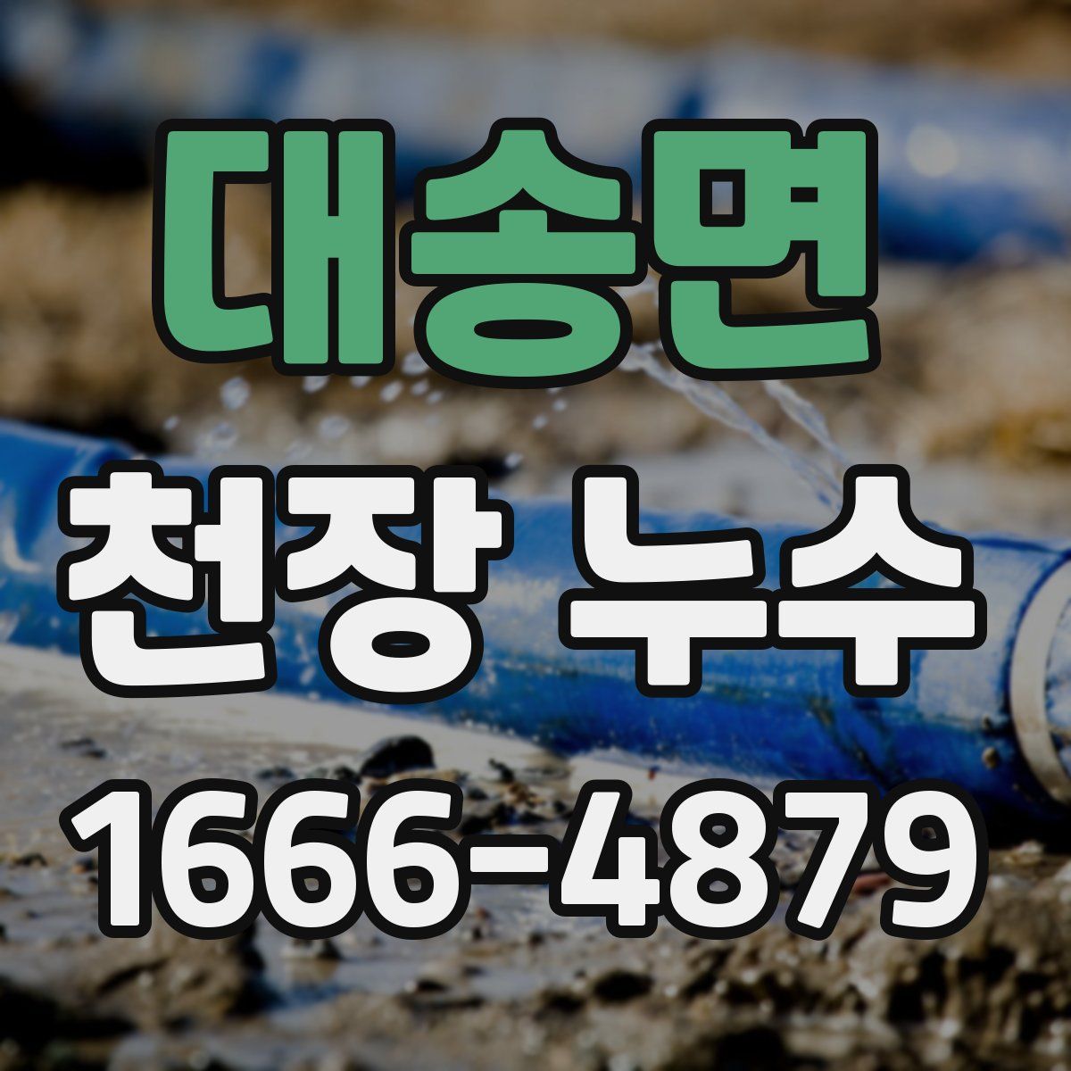 대송면 천장 누수