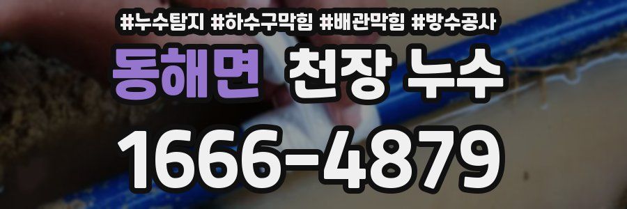 동해면 천장 누수