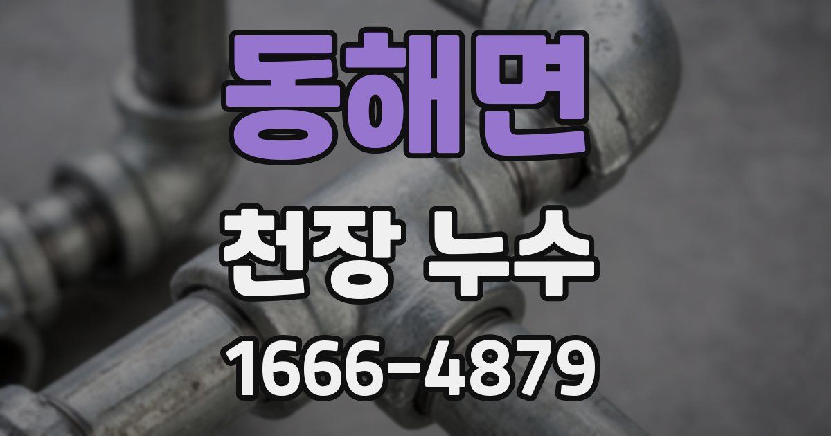 동해면 천장 누수