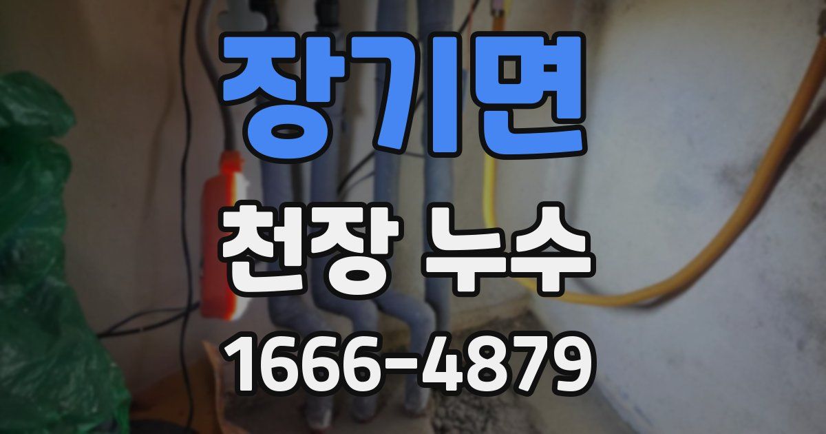 장기면 천장 누수