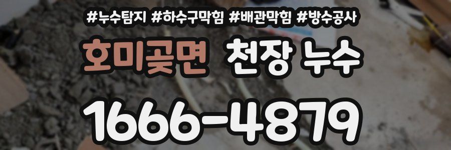 호미곶면 천장 누수