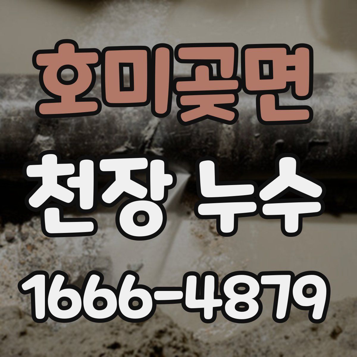 호미곶면 천장 누수