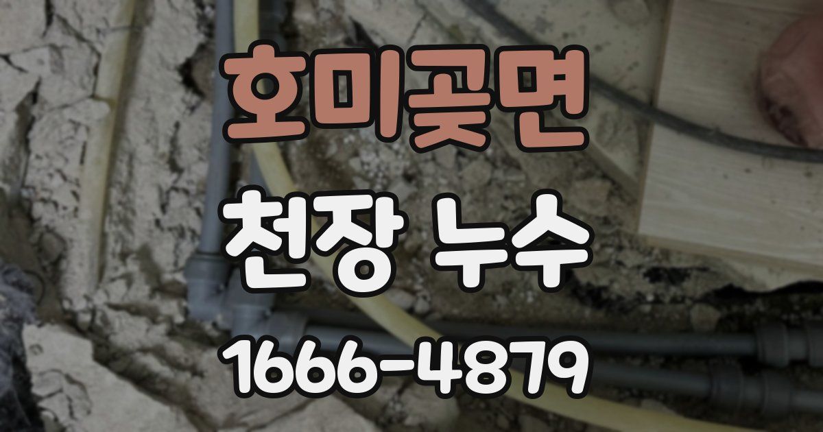 호미곶면 천장 누수