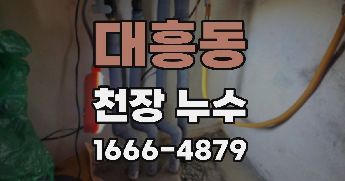 대흥동 천장 누수
