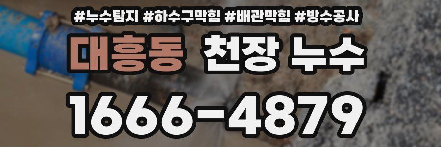 대흥동 천장 누수