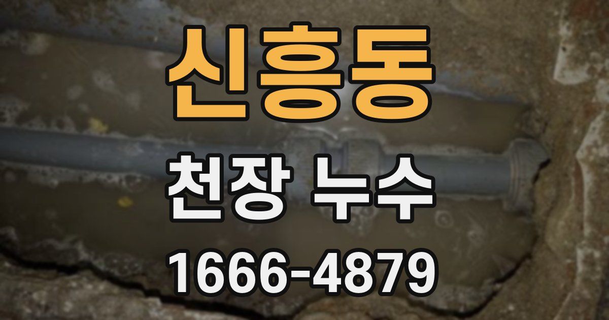 신흥동 천장 누수