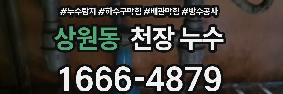 상원동 천장 누수