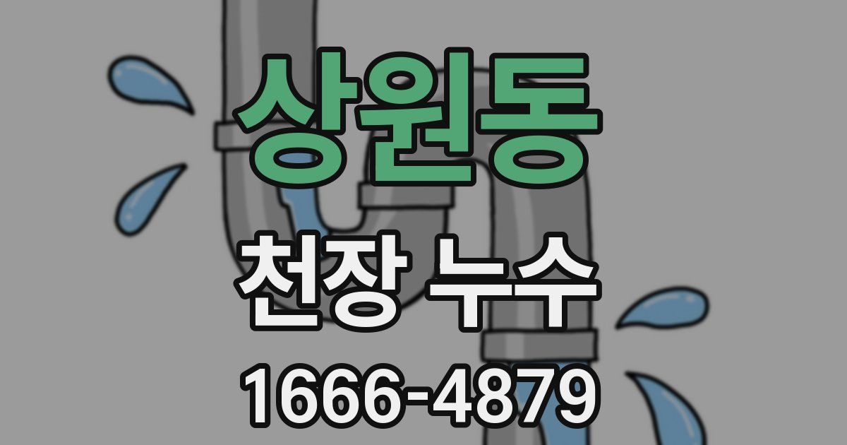 상원동 천장 누수