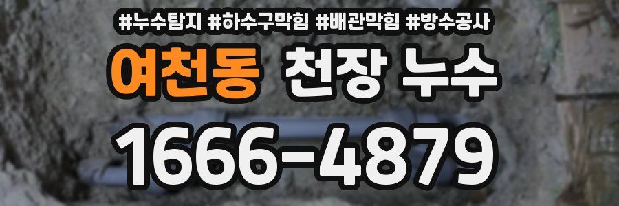 여천동 천장 누수