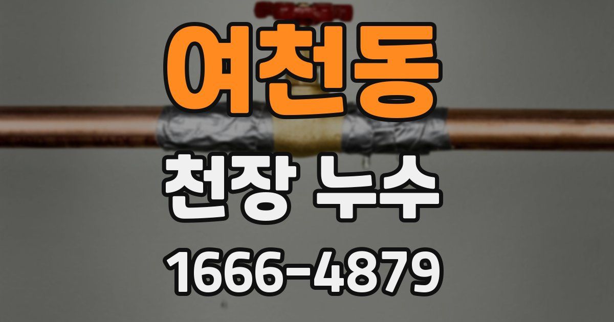 여천동 천장 누수