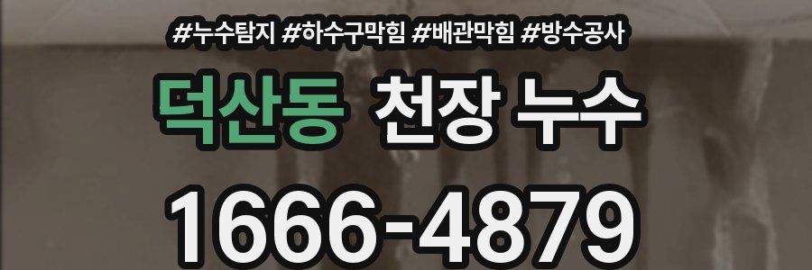 덕산동 천장 누수