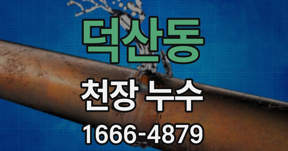 덕산동 천장 누수