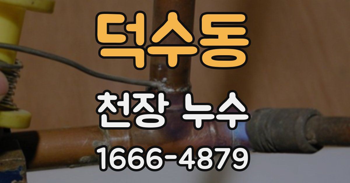 덕수동 천장 누수